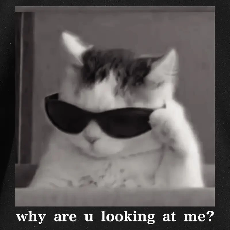 Neden Bana Bakıyorsun?