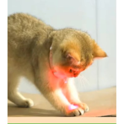 Otomatik Lazer Oyun Tasması 