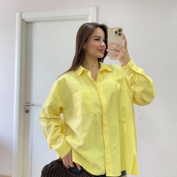 Poplin   Yakalı Yandan Yırtmaçlı Arka Pens Detaylı Gömlek - Sarı -
