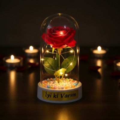 Renkli Toplu Ledli Gül Fanus 