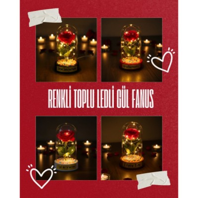 Renkli Toplu Ledli Gül Fanus 