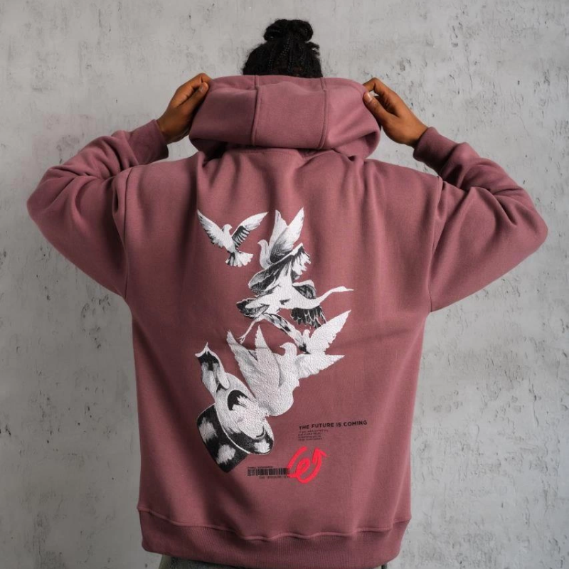 Şapkalı Güvercin Baskılı Kapşonlu Sweat - Gül Kurusu