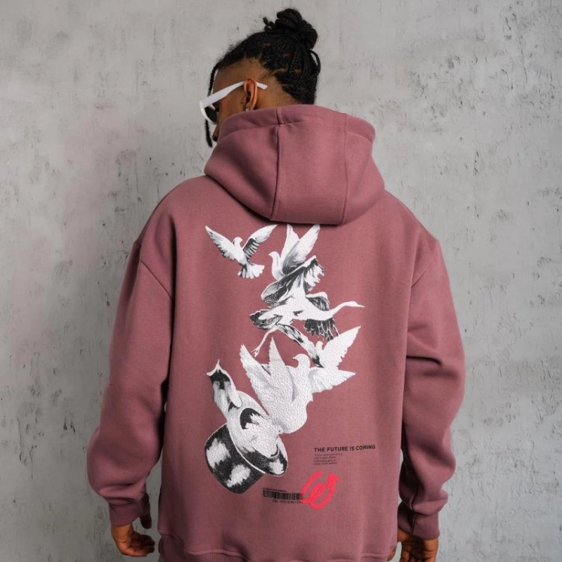 Şapkalı Güvercin Baskılı Kapşonlu Sweat - Gül Kurusu