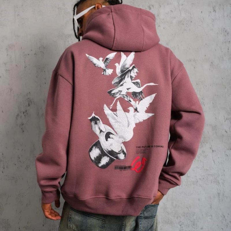 Şapkalı Güvercin Baskılı Kapşonlu Sweat - Gül Kurusu