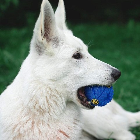 SESLI MAMA OYUN TOPU