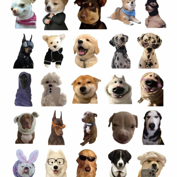 Sevimli Köpek Çıkartmaları Laptop Notebook Tablet Sticker Seti