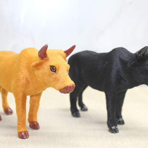 Tüylü Boğa Biblosu 