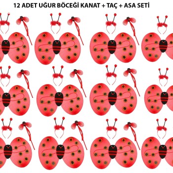 Uğur Böceği Kostüm Seti - Kanat, Taç, Asa 12 Adet