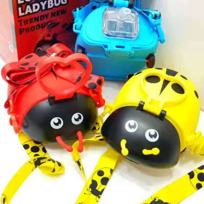 Uğur Böceği Su Matarası