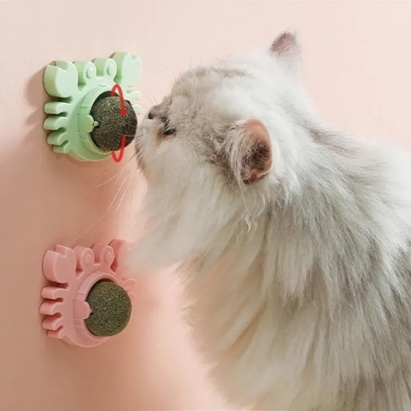 Yengeç Kedi Otu Oyun Topu